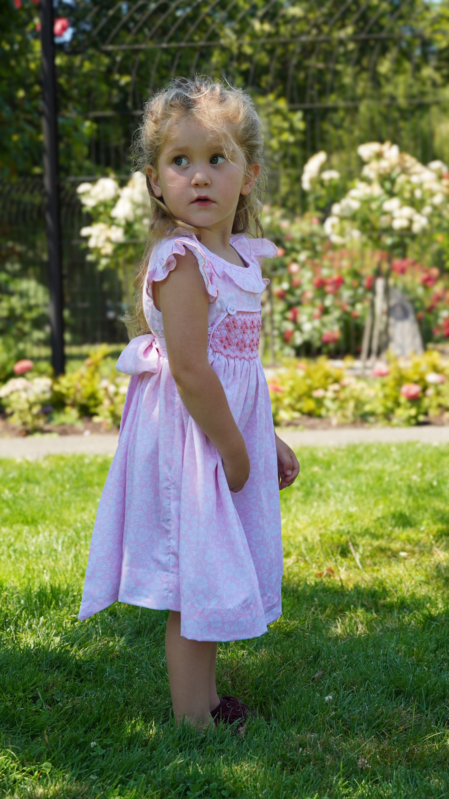 Isla Smocked Flutter Sleeve Dress