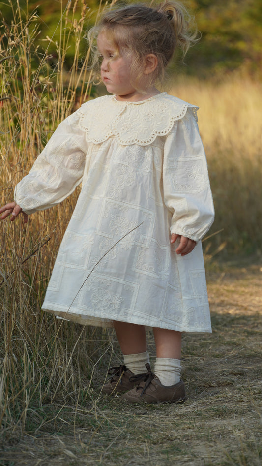 Embroidered Lace Collar Dress