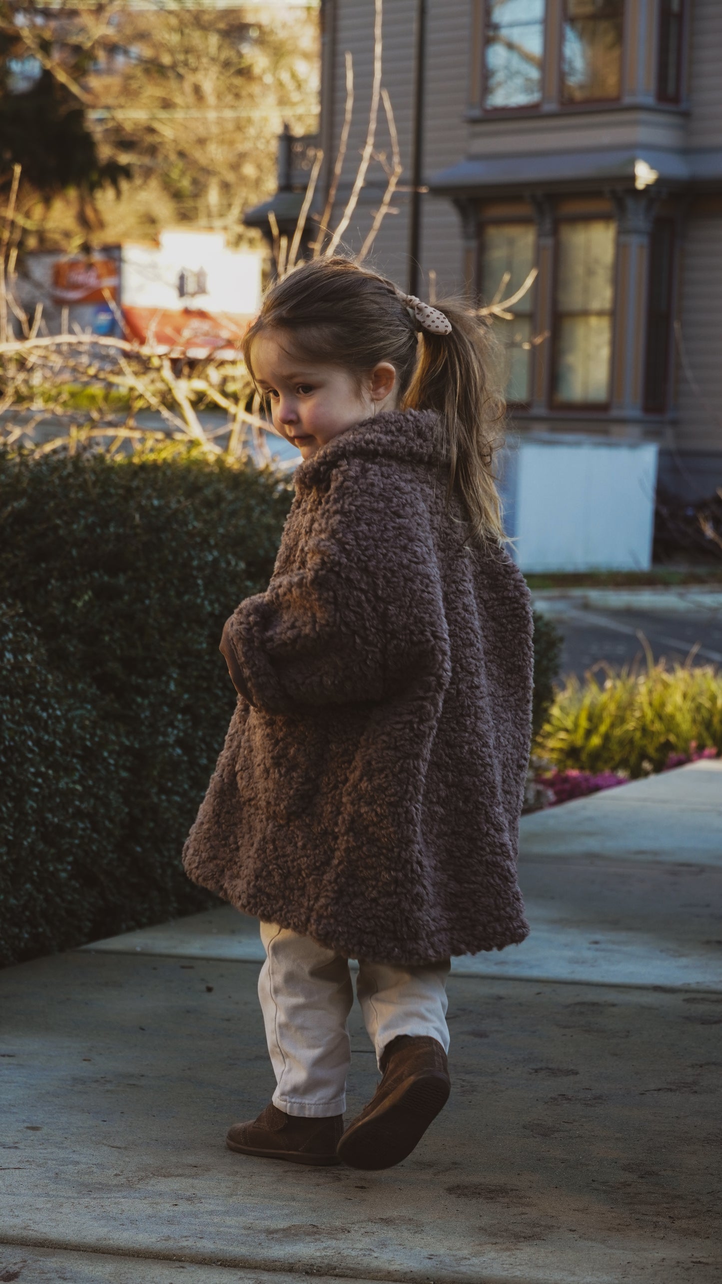 Teddy Overcoat